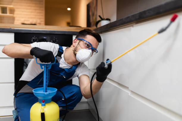 Best Best Pest Control Near Me  in Bellwood, VA